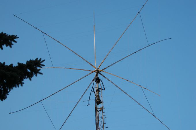 OZYL-117.jpg